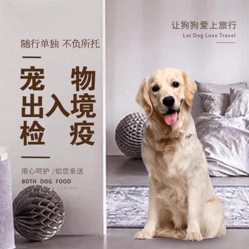 常州宠物托运到哥伦比亚猫狗宠物入境规定和