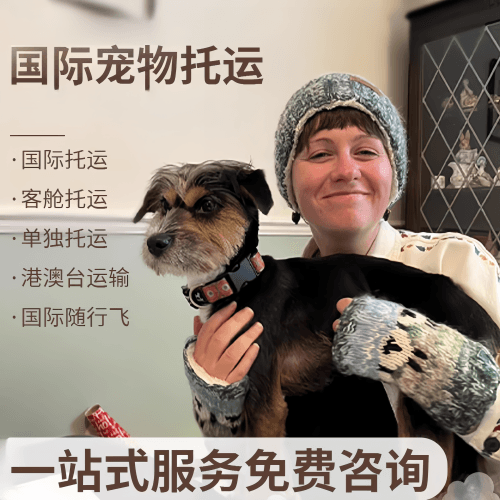 常州国际宠物托运到阿根廷宠物入境规定和要