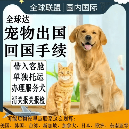 常州宠物托运到柬埔寨宠物入境规定和要求