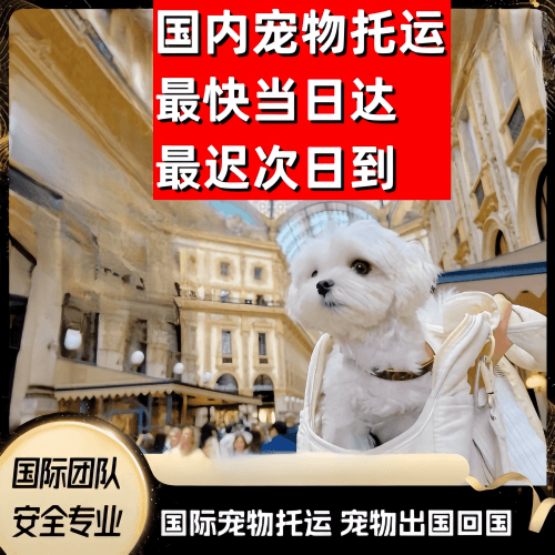 常州到澳大利亚（澳洲）宠物入境规定和要求